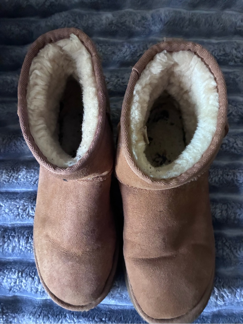 UGG Classic Mini Chesnut size 7 - Picture 5 of 7